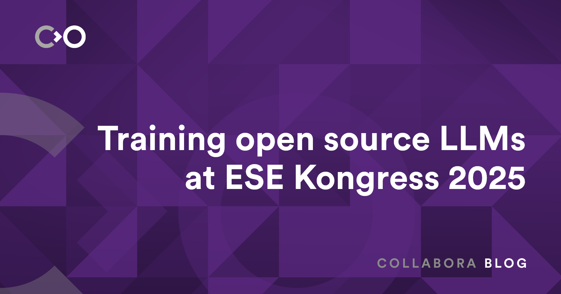 Training open source LLMs at ESE Kongress 2025